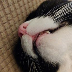 Meet your Posher, Moira